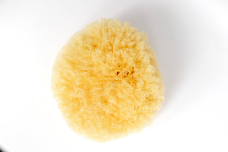 Natural Sea Bath and Facial Cleansing Sponge